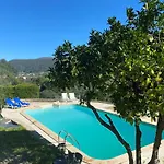 فيلة Sonho No Mondego