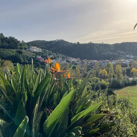 Villa Sonho No Mondego *